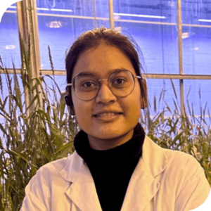 I am a graduate student in CBL at the University of Alberta, collaborating with Agriculture and Agri-Food Canada at the Lethbridge Research and Development Centre. I began my academic journey at Punjab Agricultural University, India where I earned the University Merit Scholarship for three consecutive years. My research focuses on genetics of stripe rust resistance in spring wheat. Through innovative techniques, I hope to contribute valuable insights into cereal breeding. Beyond academia, I aspire to contribute to global food security by combining scientific rigor with dedication.