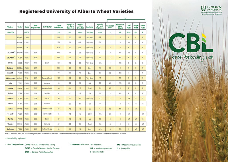 Cereal Breeding Lab Information Pamphlet July 2024